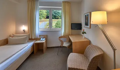 Helles Zimmer mit Einzelbett, Sessel und Fernseher. Großes Fenster mit Blick ins Grüne.