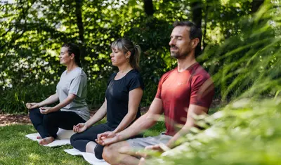 Zwei Frauen und ein Mann meditieren nebeneinander auf einer Wiese im Schatten von Bäumen
